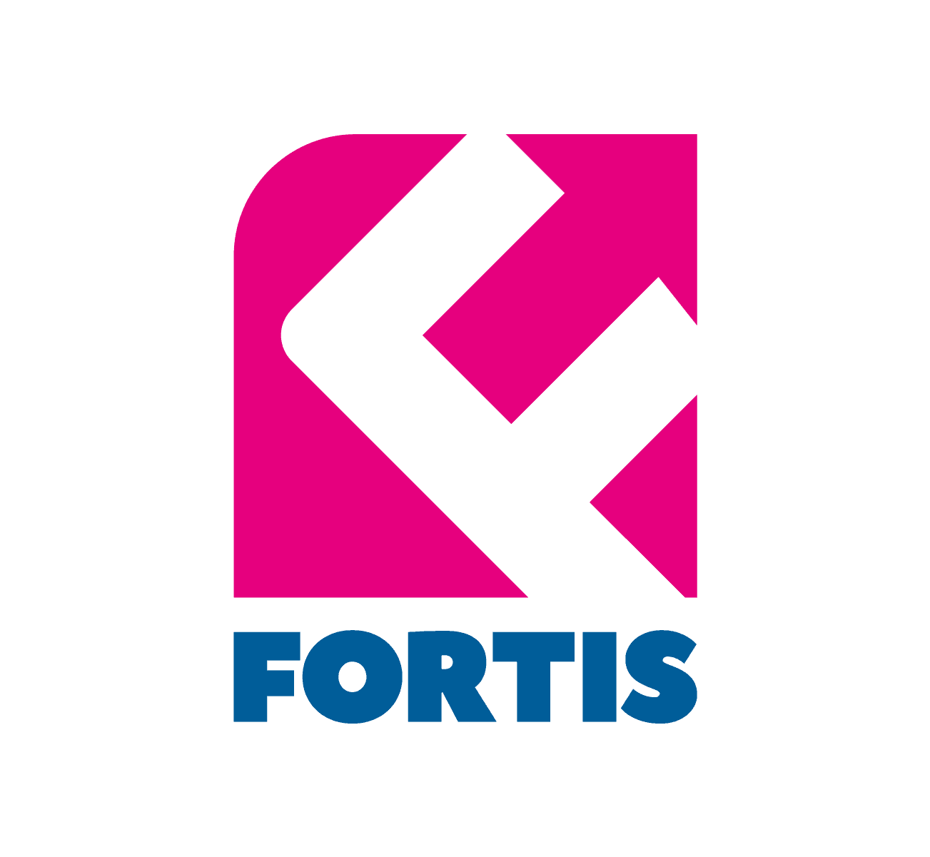 Fortis Argentina - Ingeniería