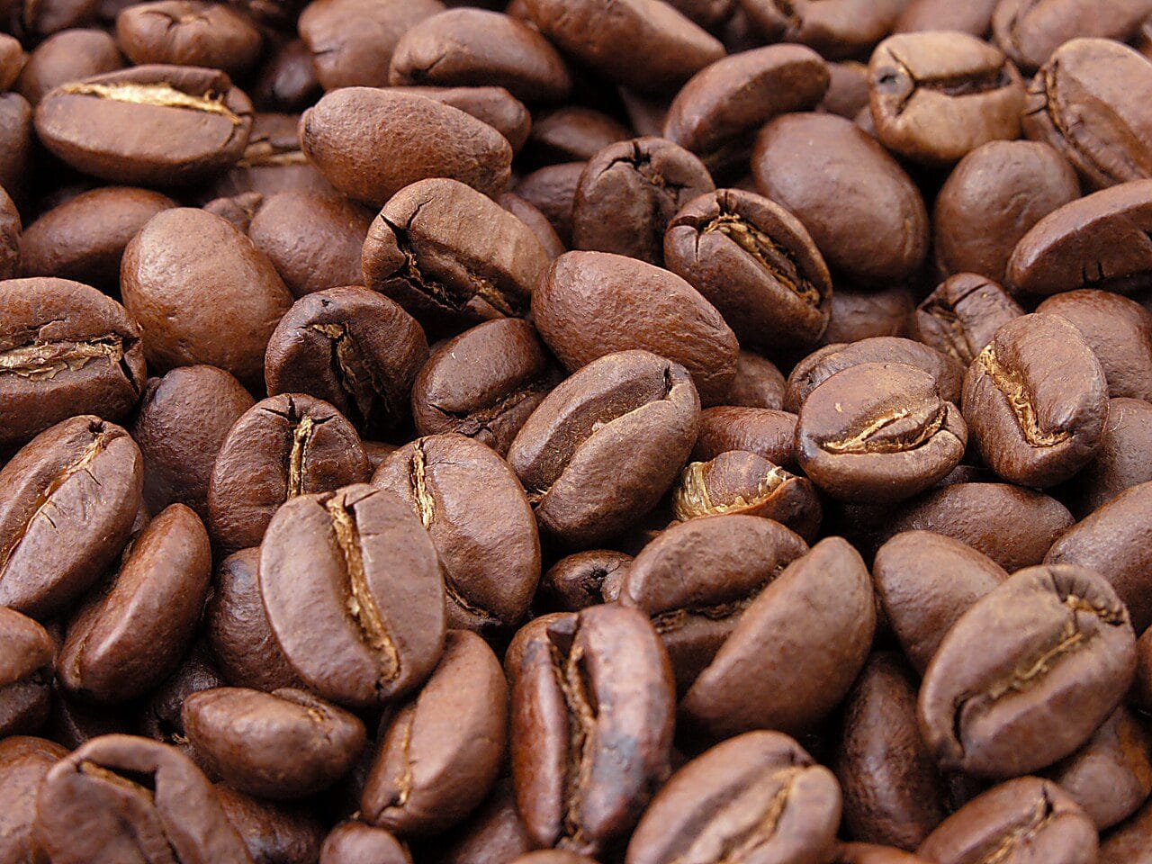 Granos de café de especialidad tostado